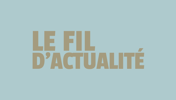 le fil d'actualité